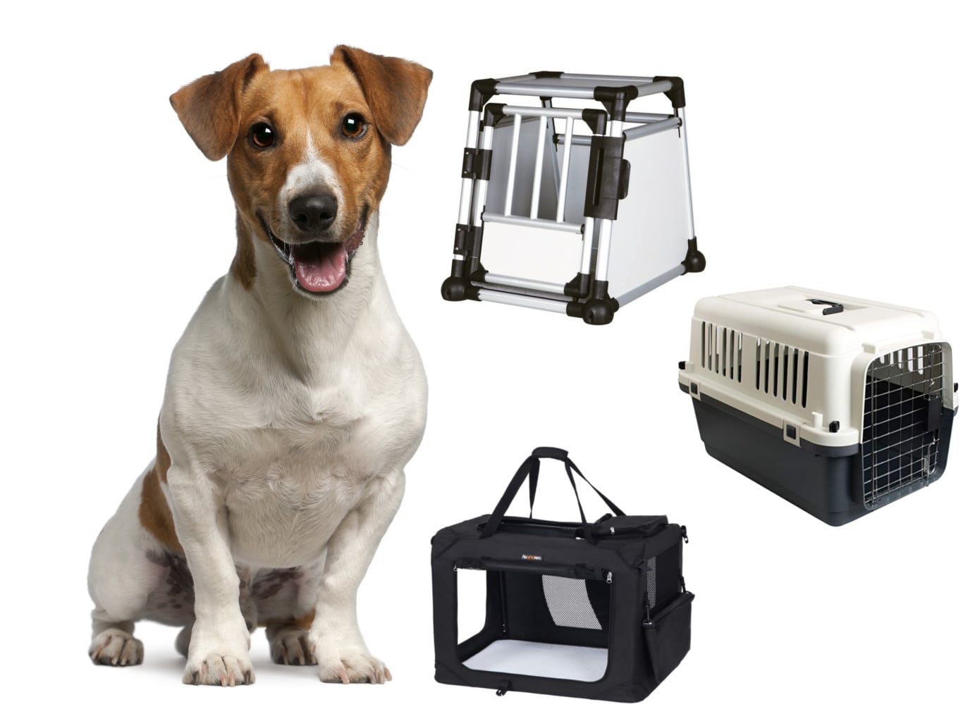 Was ist die richtige Hundebox für meinen Jack Russell: Alubox, Flugbox oder faltbare Hundebox?